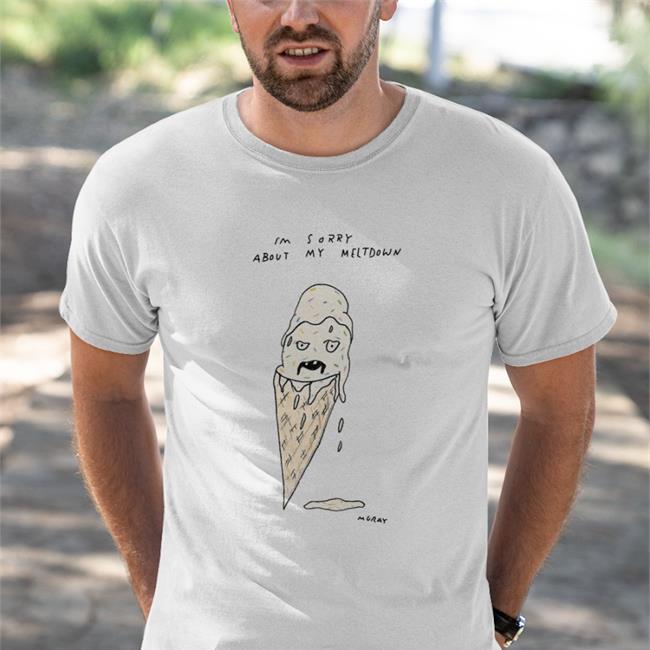 I'm Sorry About My Meltdown Tee Shirt Really Good Artist
