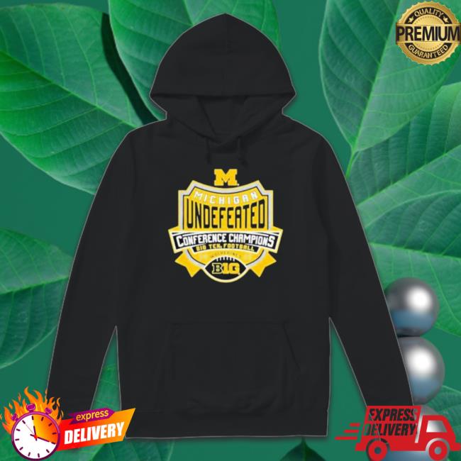 Official Michigan Wolverines Big Ten Champs 2022 Undefeated Crewneck Sweatshirt