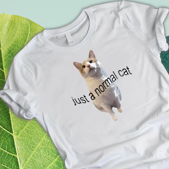 Official Just A Normal Cat Hooded Sweatshirt
