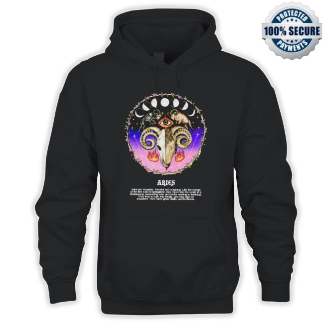 Official Aries Are Energetic Forceful And Outgoing Hoodie