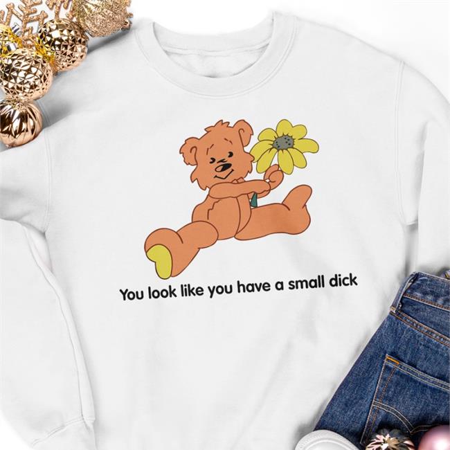 You Look Like You Have A Small Dick Funny Bear Hoodie Ddlgplayground Store