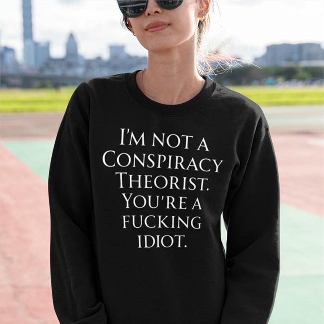 Haney Mallemat Who Is Not A Conspiracy Theorist You Are A Fucking Idiot Hoodie