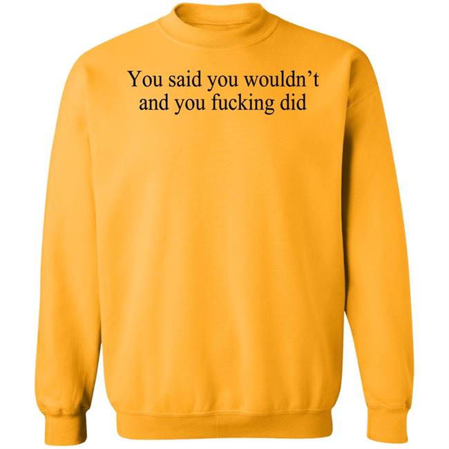You Said You Wouldn't And You Fucking Did Shirt Known Gaslighter You Said You Wouldn't And You Fucking Did Shirt Known Gaslighter