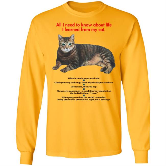All I Need To Know About Life I Learned From My Cat Shirt All I Need To Know About Life I Learned From My Cat Shirt