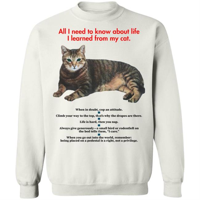 All I Need To Know About Life I Learned From My Cat Shirt All I Need To Know About Life I Learned From My Cat Shirt
