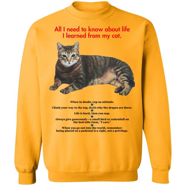 All I Need To Know About Life I Learned From My Cat Shirt All I Need To Know About Life I Learned From My Cat Shirt