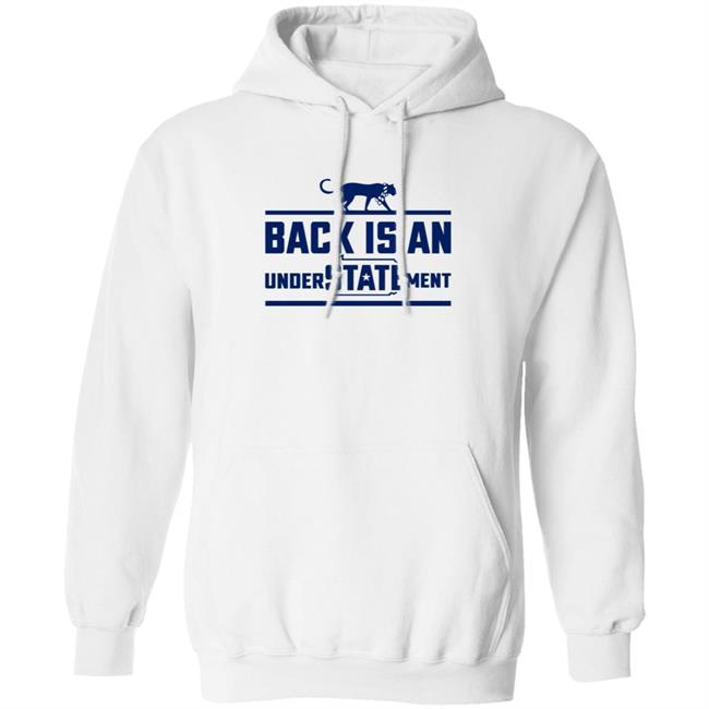 Barstool Penn State Hoodie Back Is Understatement Shirt