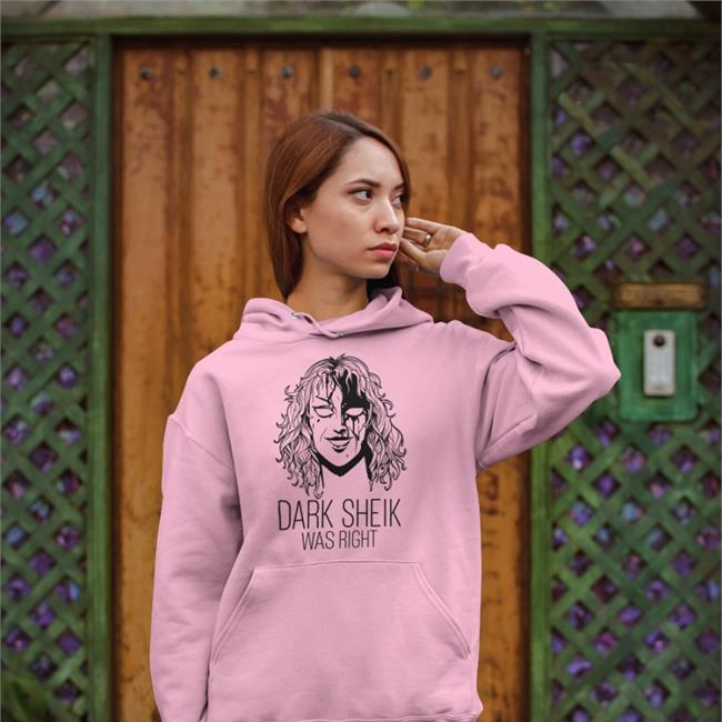 Dark Sheik Was Right Shirt Sheikah Shirt Darksheikftf