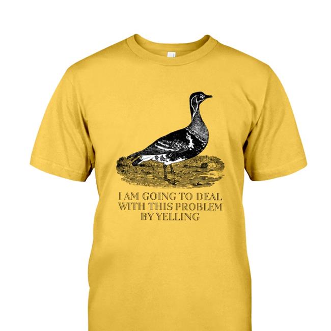 Sarahylibrarian Sarah I Am Going To Deal With This Problem By Yelling Shirt