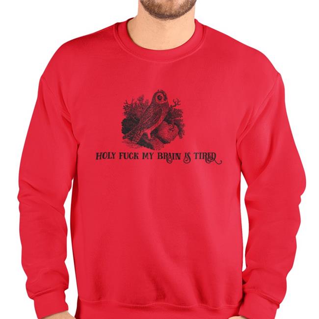 Effin Birds Holy Fuck My Brain Is Tired Sweatshirt