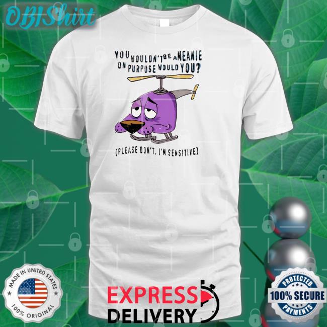 You Wouldn't Be A Meanie On Purpose Would You Shirt Justins Art