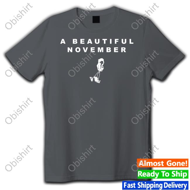 Somo Merch A Beautiful November Funny T Shirt
