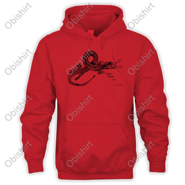 Wasiaproject Dragon Wasia Project Shirts Wasiaproject Store Dragon Wasia Project Sweatshirt Megan Hardy