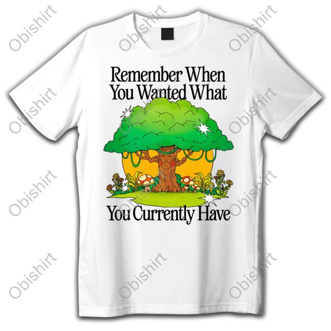 Remember When You Wanted What You Currently Have Hoodie