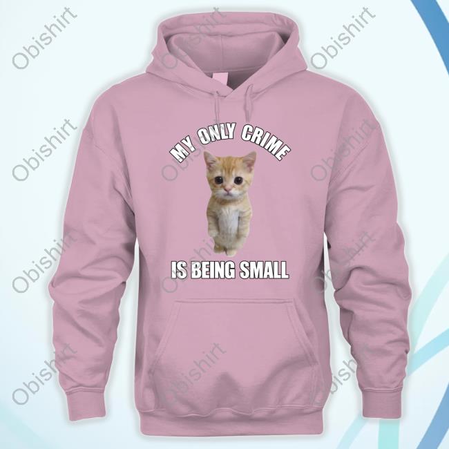 My Only Crime Is Being Small Shirt, T Shirt, Hoodie, Sweater, Long Sleeve T-Shirt And Tank Top