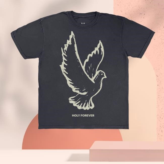 Bethel Music Merch Store Shop Bethel Dove Hoodie Sweatshirt