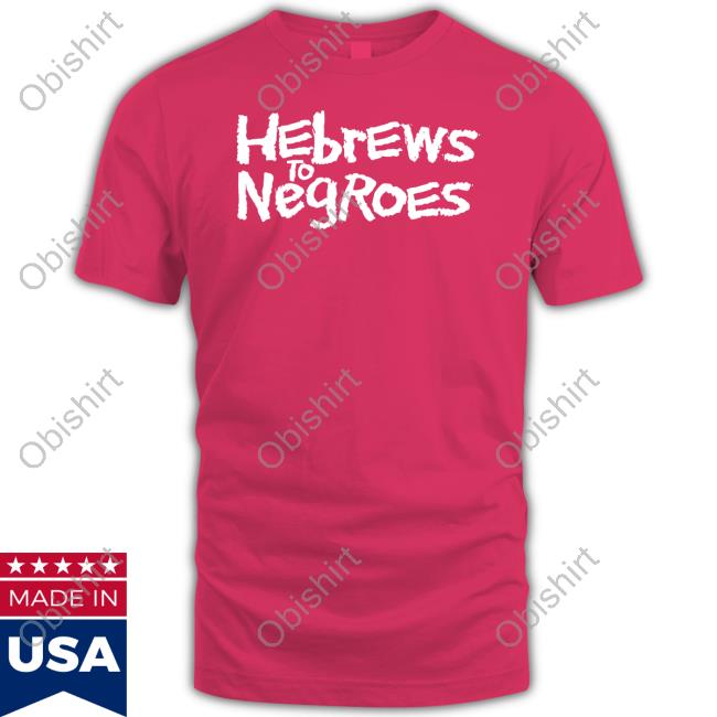 Hebrews To Negroes I Am Semitic Hoodie