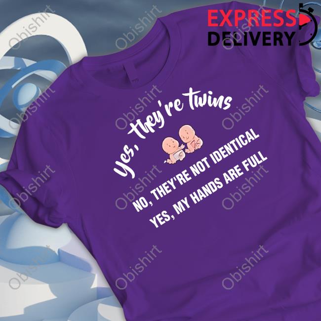 Yes, They're Twins No They're Not Identical Yes, My Hands Are Full Hooded Sweatshirt