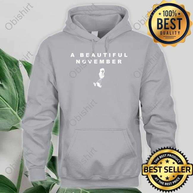 A Beautiful November Tee Shirt Somo Merch A Beautiful November T Shirt