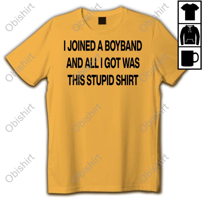 Boyband I Joined A Boyband And All I Got Was This Stupid Shirt T Shirts Aloneinaboyband