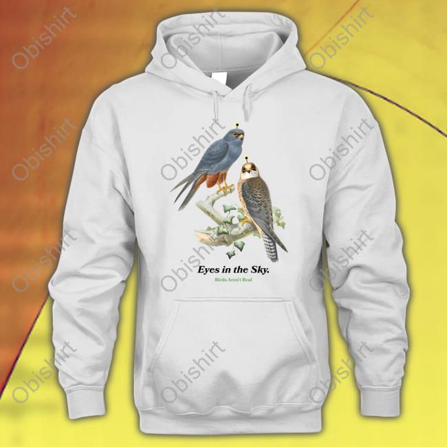 Birds Aren't Real Eyes In The Sky Birds Aren't Tee Shirt