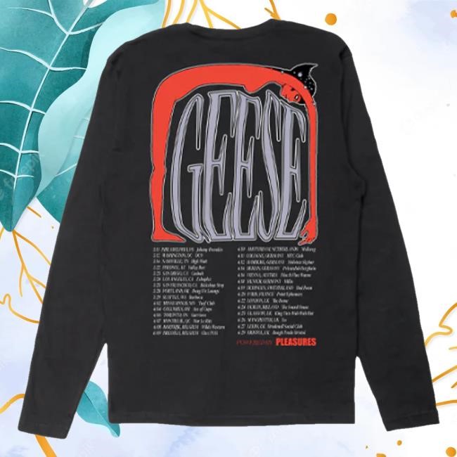 Hello Merch Geese Pleasures Sweater