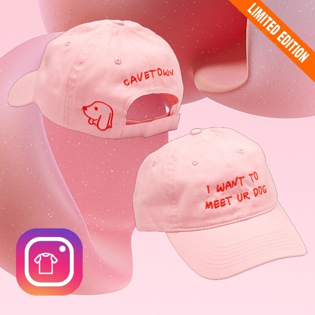Official Cavetown Merch I Want To Meet Your Dog Trucker Hat