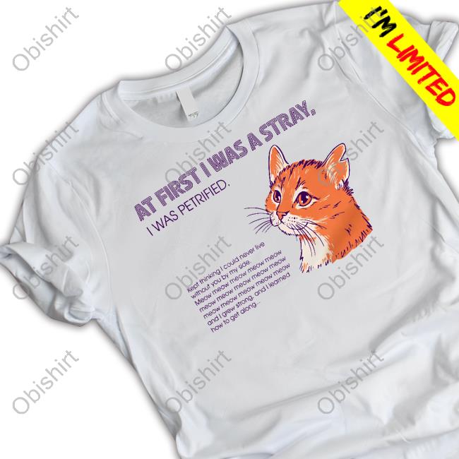 At First I Was A Stray Cat Hooded Sweatshirt